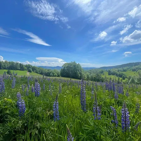 Filipówka - Dom Z Sauną W Karkonoszach Dom wakacyjny