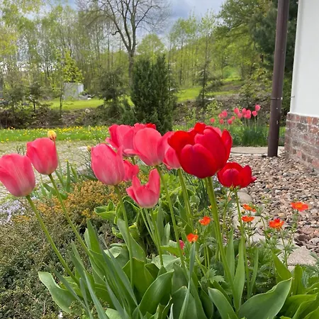 Filipówka - Dom Z Sauną W Karkonoszach Dom wakacyjny