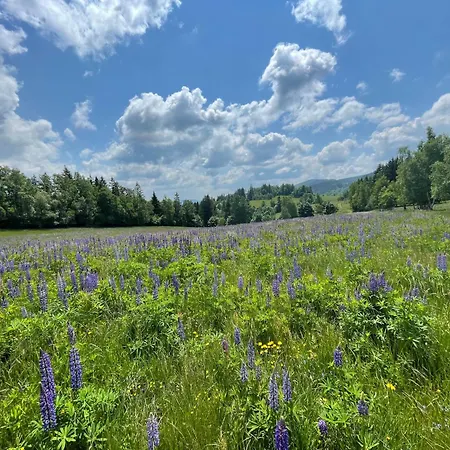 Filipówka - Dom Z Sauną W Karkonoszach Dom wakacyjny Lubawka