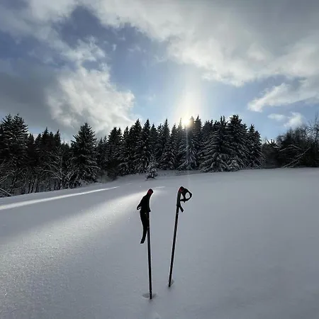 Filipówka - Dom Z Sauną W Karkonoszach *