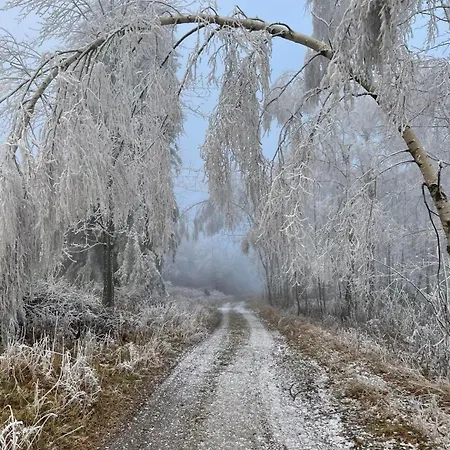 Filipówka - Dom Z Sauną W Karkonoszach Dom wakacyjny