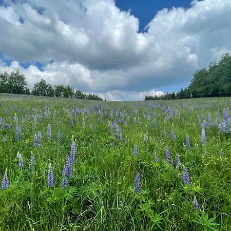 Dom wakacyjny Filipówka - Dom Z Sauną W Karkonoszach Lubawka