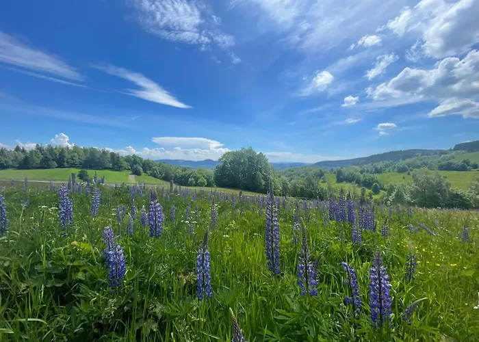Filipowka - Dom Z Sauna W Karkonoszach Vakantiehuis