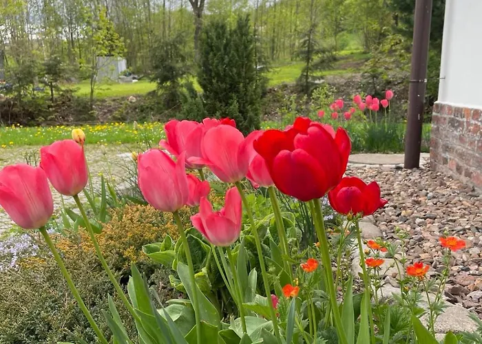 Filipowka - Dom Z Sauna W Karkonoszach Vakantiehuis