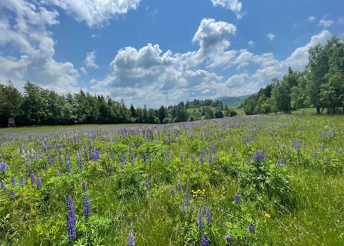 Filipowka - Dom Z Sauna W Karkonoszach Vakantiehuis Lubawka