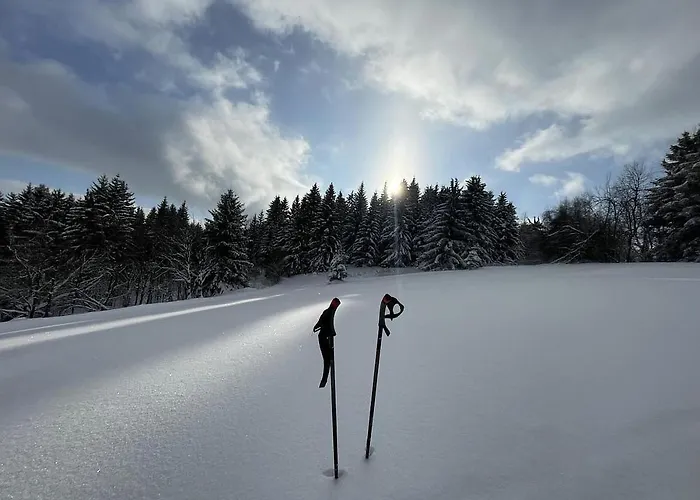 Filipowka - Dom Z Sauna W Karkonoszach *