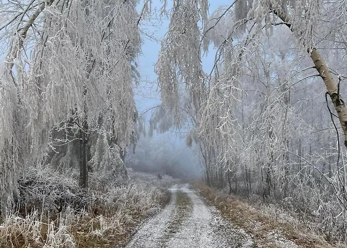 Filipowka - Dom Z Sauna W Karkonoszach Vakantiehuis