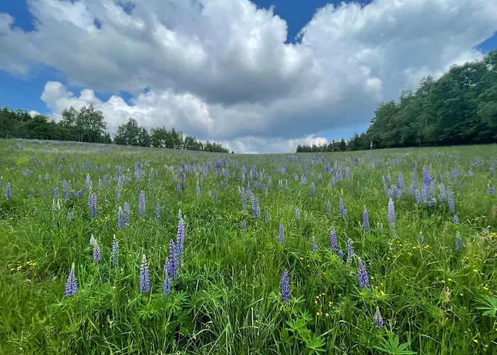 Vakantiehuis Filipowka - Dom Z Sauna W Karkonoszach Lubawka