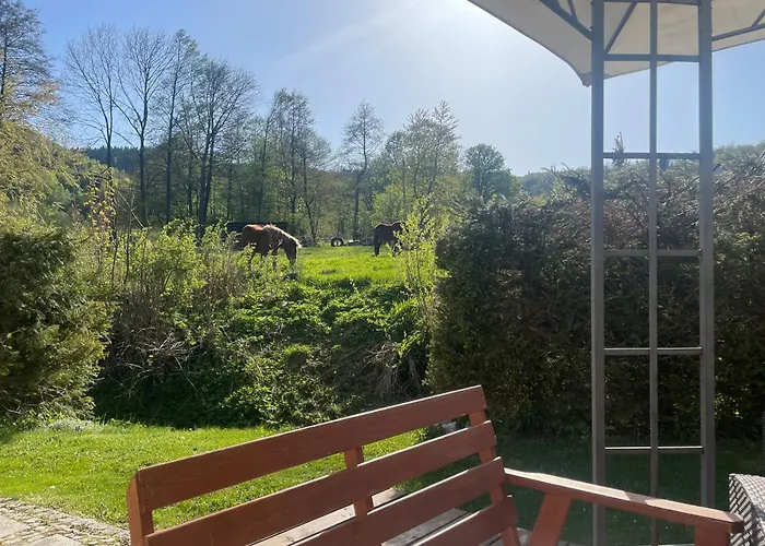 Filipowka - Dom Z Sauna W Karkonoszach Vakantiehuis Lubawka